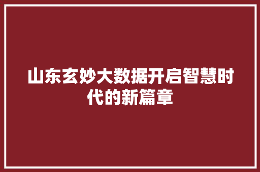 山东玄妙大数据开启智慧时代的新篇章