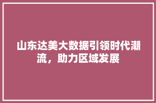 山东达美大数据引领时代潮流，助力区域发展