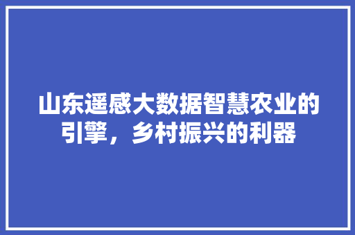 山东遥感大数据智慧农业的引擎，乡村振兴的利器