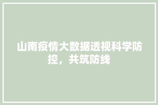山南疫情大数据透视科学防控，共筑防线