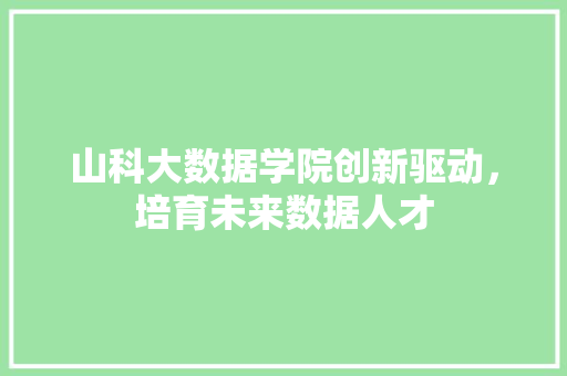 山科大数据学院创新驱动，培育未来数据人才