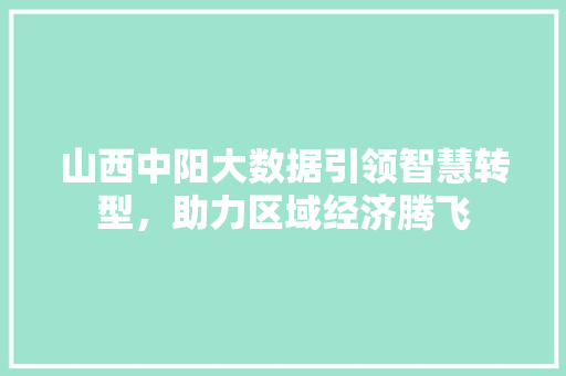 山西中阳大数据引领智慧转型，助力区域经济腾飞
