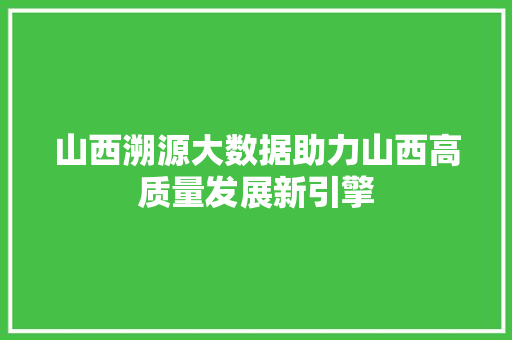 山西溯源大数据助力山西高质量发展新引擎