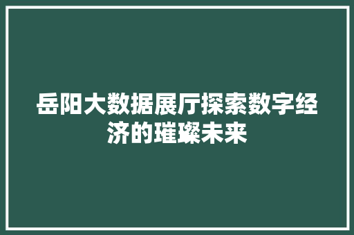 岳阳大数据展厅探索数字经济的璀璨未来