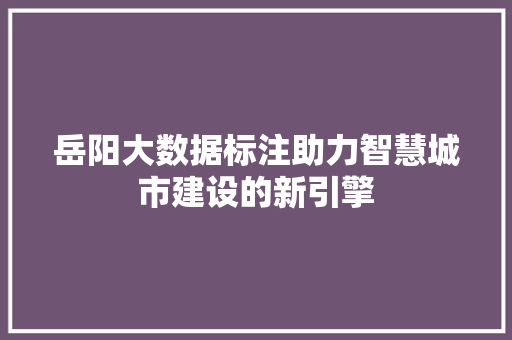 岳阳大数据标注助力智慧城市建设的新引擎