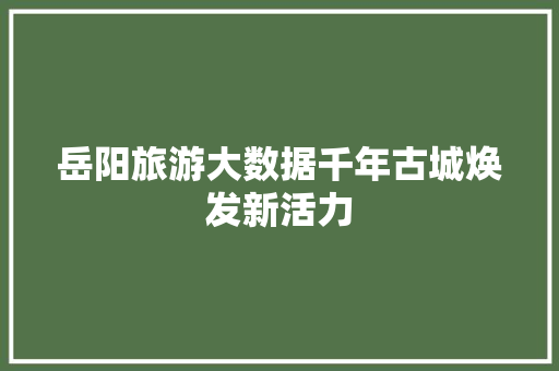 岳阳旅游大数据千年古城焕发新活力