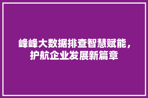 峰峰大数据排查智慧赋能，护航企业发展新篇章