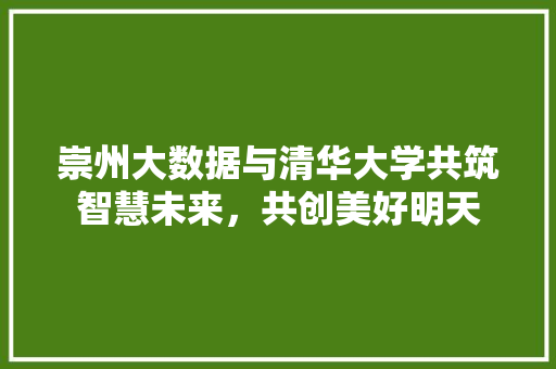 崇州大数据与清华大学共筑智慧未来，共创美好明天