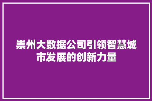 崇州大数据公司引领智慧城市发展的创新力量