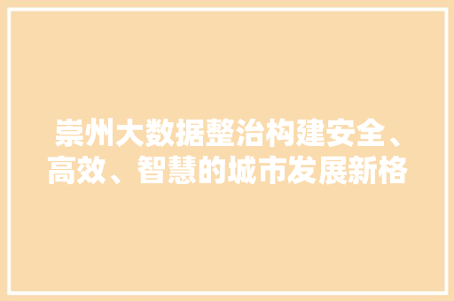 崇州大数据整治构建安全、高效、智慧的城市发展新格局