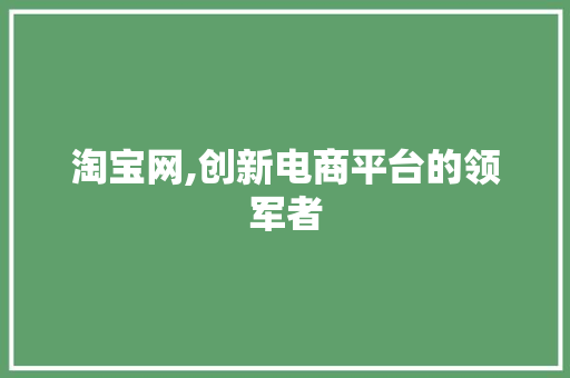 淘宝网,创新电商平台的领军者