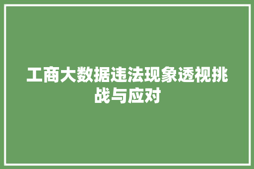 工商大数据违法现象透视挑战与应对