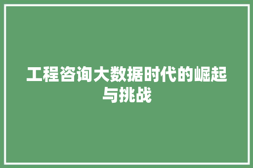工程咨询大数据时代的崛起与挑战