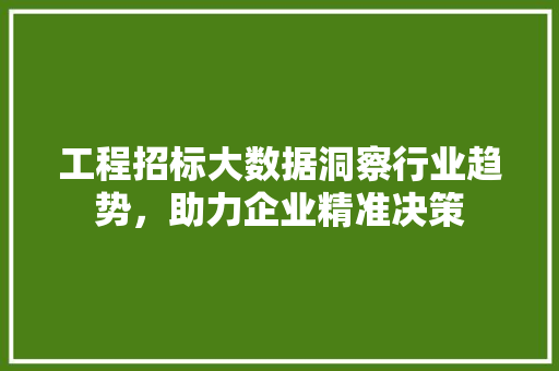 工程招标大数据洞察行业趋势，助力企业精准决策