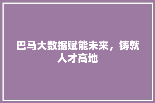 巴马大数据赋能未来，铸就人才高地 服务器/数据库