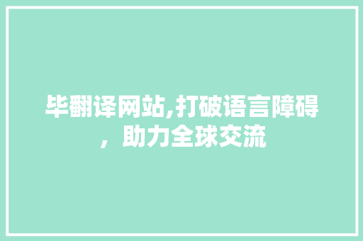 毕翻译网站,打破语言障碍，助力全球交流