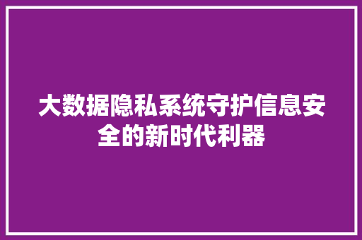 大数据隐私系统守护信息安全的新时代利器