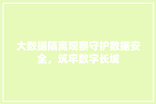 大数据隔离观察守护数据安全，筑牢数字长城