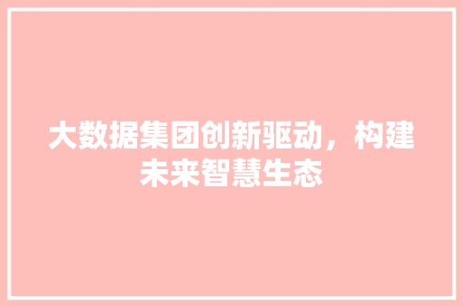 大数据集团创新驱动，构建未来智慧生态