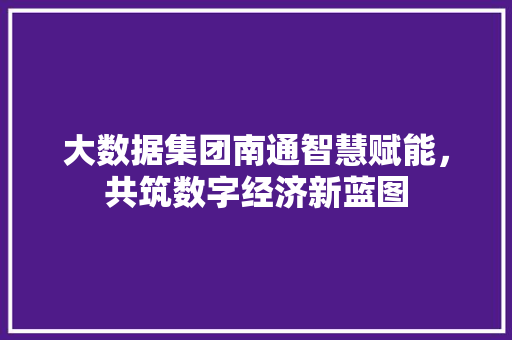 大数据集团南通智慧赋能，共筑数字经济新蓝图