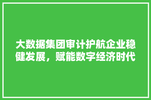 大数据集团审计护航企业稳健发展，赋能数字经济时代