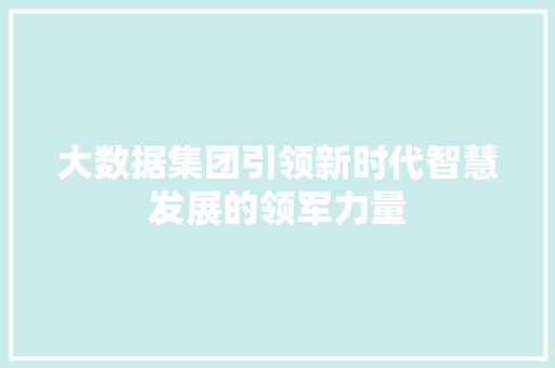 大数据集团引领新时代智慧发展的领军力量