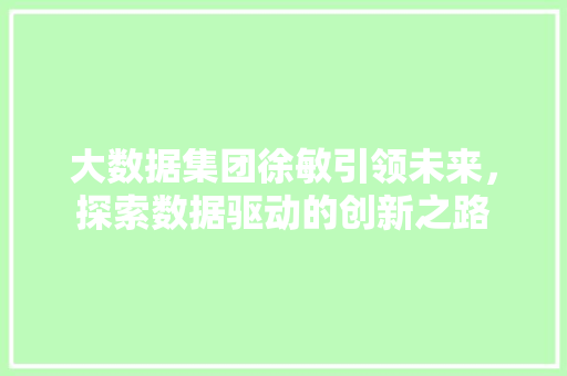 大数据集团徐敏引领未来，探索数据驱动的创新之路