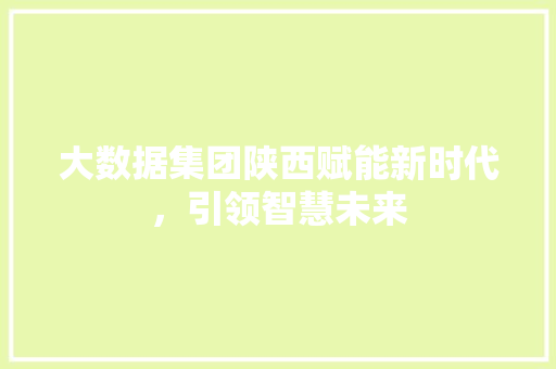 大数据集团陕西赋能新时代，引领智慧未来