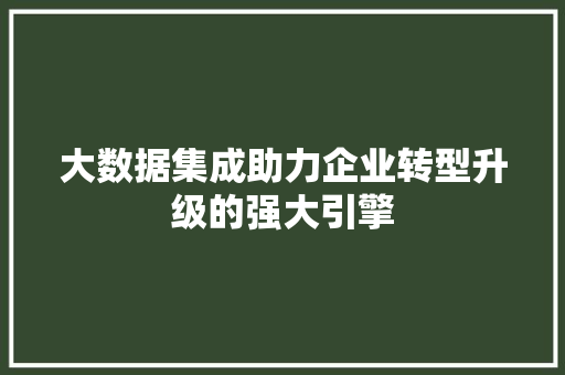 大数据集成助力企业转型升级的强大引擎