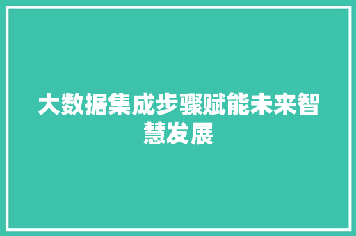 大数据集成步骤赋能未来智慧发展
