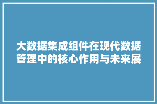 大数据集成组件在现代数据管理中的核心作用与未来展望