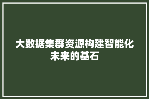大数据集群资源构建智能化未来的基石