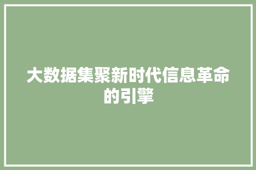 大数据集聚新时代信息革命的引擎