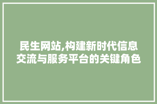 民生网站,构建新时代信息交流与服务平台的关键角色