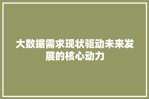 大数据需求现状驱动未来发展的核心动力