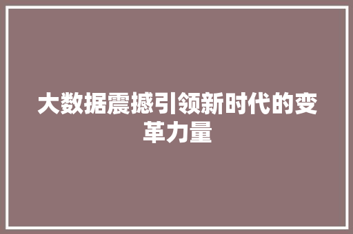 大数据震撼引领新时代的变革力量