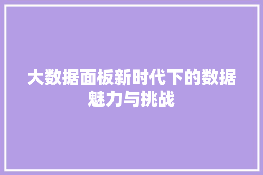 大数据面板新时代下的数据魅力与挑战