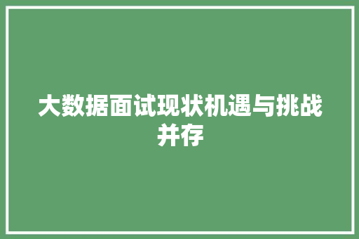 大数据面试现状机遇与挑战并存