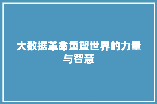 大数据革命重塑世界的力量与智慧