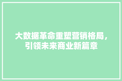 大数据革命重塑营销格局，引领未来商业新篇章
