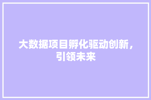 大数据项目孵化驱动创新，引领未来