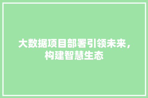 大数据项目部署引领未来，构建智慧生态