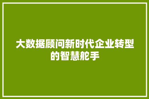 大数据顾问新时代企业转型的智慧舵手