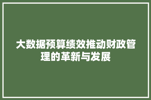 大数据预算绩效推动财政管理的革新与发展