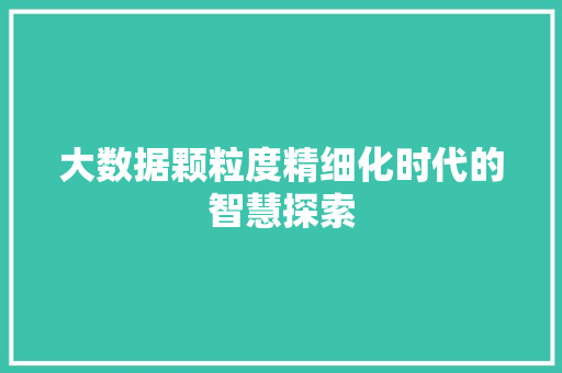 大数据颗粒度精细化时代的智慧探索