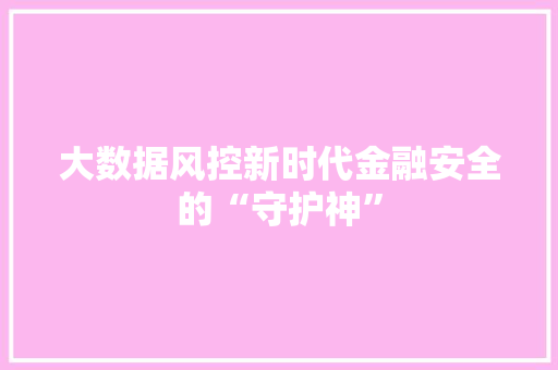 大数据风控新时代金融安全的“守护神”