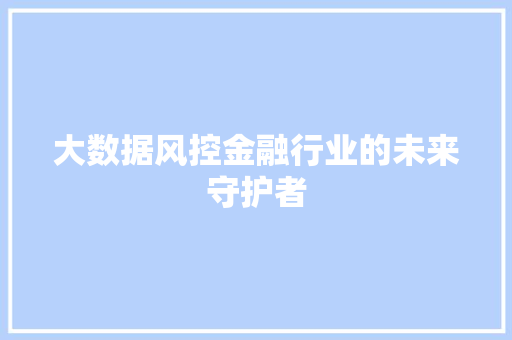 大数据风控金融行业的未来守护者