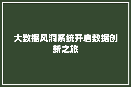 大数据风洞系统开启数据创新之旅