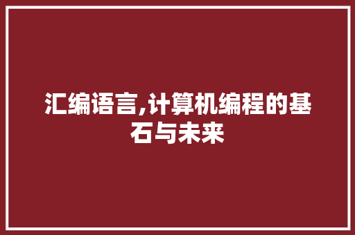 汇编语言,计算机编程的基石与未来