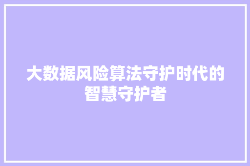 大数据风险算法守护时代的智慧守护者